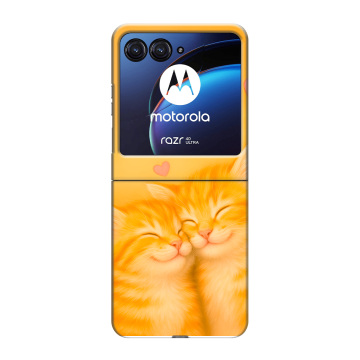 Пластиковый чехол на Motorola Razr 40 Ultra с принтом Милые котята