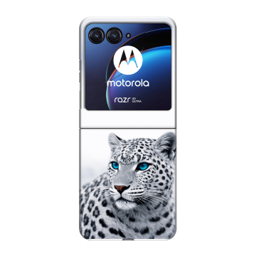 Пластиковый чехол на Motorola Razr 40 Ultra с принтом женский
