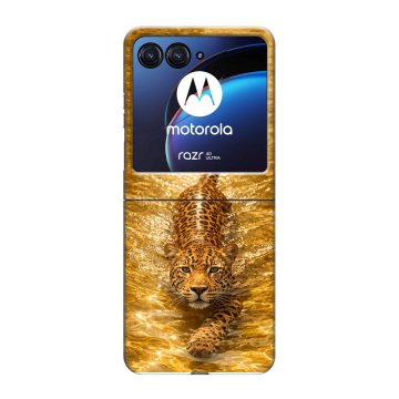 Пластиковый чехол на Motorola Razr 40 Ultra с принтом женский