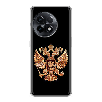 Силиконовый чехол на OnePlus Ace 2 с принтом Герб России золотой Силиконовый чехол на OnePlus Ace 2 с принтом Герб России золотой