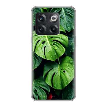 Силиконовый чехол на OnePlus 10T с принтом Листья Силиконовый чехол на OnePlus 10T с принтом Листья