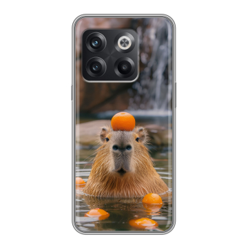Силиконовый чехол на OnePlus 10T с принтом Капибара с апельсином