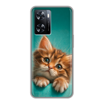 Силиконовый чехол на OnePlus Nord N20 SE с принтом котенок
