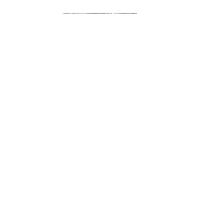 Пластиковый чехол на OPPO Find N3 с принтом Листья Пластиковый чехол на OPPO Find N3 с принтом Листья