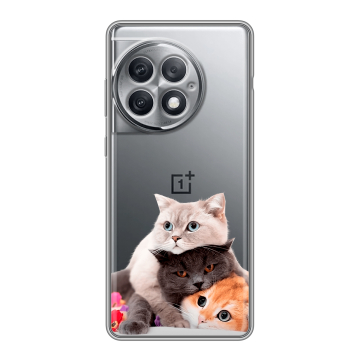 Силиконовый чехол на OnePlus Ace 2 Pro с принтом Кошки