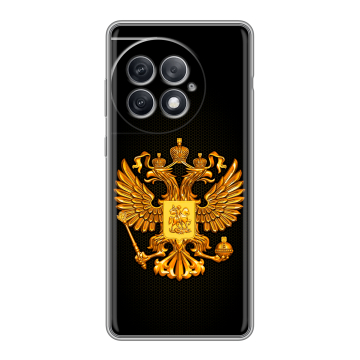 Силиконовый чехол на OnePlus Ace 2 Pro с принтом Герб России желтый Силиконовый чехол на OnePlus Ace 2 Pro с принтом Герб России желтый