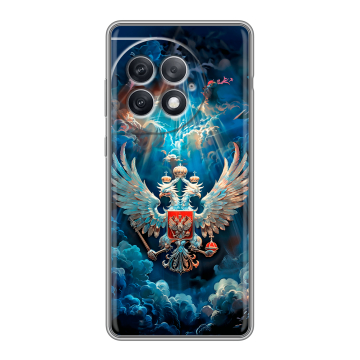 Силиконовый чехол на OnePlus Ace 2 Pro с принтом Герб флаг России
