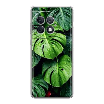 Силиконовый чехол на OnePlus Ace 2 Pro с принтом Листья Силиконовый чехол на OnePlus Ace 2 Pro с принтом Листья