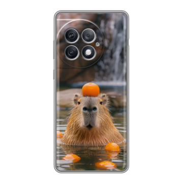 Силиконовый чехол на OnePlus Ace 2 Pro с принтом Капибара с апельсином
