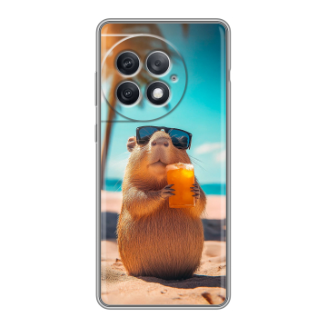 Силиконовый чехол на OnePlus Ace 2 Pro с принтом Капибара