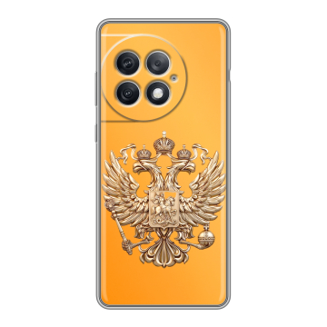 Силиконовый чехол на OnePlus Ace 2 Pro с принтом Герб Флаг России