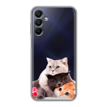 Силиконовый чехол на Samsung Galaxy A15 с принтом Кошки Силиконовый чехол на Samsung Galaxy A15 с принтом Кошки
