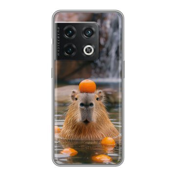 Силиконовый чехол на OnePlus 10 Pro с принтом Капибара с апельсином Силиконовый чехол на OnePlus 10 Pro с принтом Капибара с апельсином