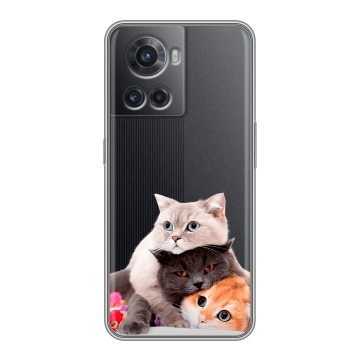 Силиконовый чехол на OnePlus Ace с принтом Кошки Силиконовый чехол на OnePlus Ace с принтом Кошки