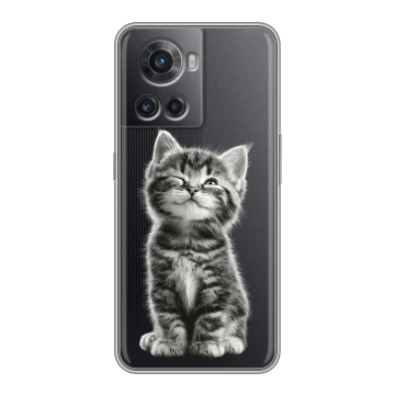 Силиконовый чехол на OnePlus 10R с принтом Котенок Силиконовый чехол на OnePlus 10R с принтом Котенок