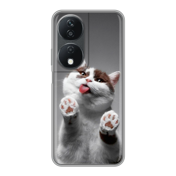 Силиконовый чехол на Honor X7b с принтом Коты Силиконовый чехол на Honor X7b с принтом Коты