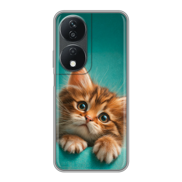 Силиконовый чехол на Honor X7b с принтом котенок
