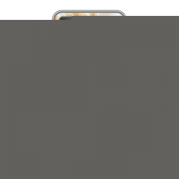 Силиконовый чехол на OPPO A57 с принтом Цветы Силиконовый чехол на OPPO A57 с принтом Цветы