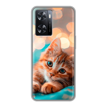 Силиконовый чехол на OPPO A77s с принтом котик Силиконовый чехол на OPPO A77s с принтом котик
