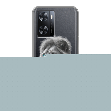 Силиконовый чехол на OPPO A77s с принтом Львы Силиконовый чехол на OPPO A77s с принтом Львы