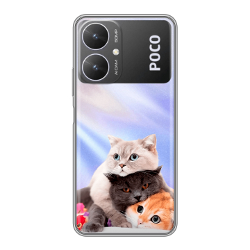 Силиконовый чехол на Xiaomi Poco M6 5G с принтом Кошки Силиконовый чехол на Xiaomi Poco M6 5G с принтом Кошки