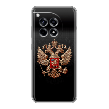 Силиконовый чехол на OnePlus Ace 3 с принтом Герб России