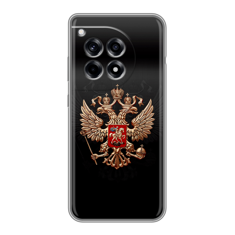 Силиконовый чехол на OnePlus Ace 3 с принтом Герб России Силиконовый чехол на OnePlus Ace 3 с принтом Герб России