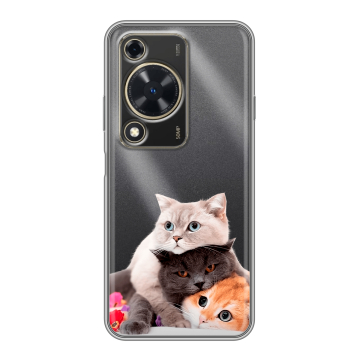 Силиконовый чехол на Huawei Nova Y72 с принтом Кошки Силиконовый чехол на Huawei Nova Y72 с принтом Кошки