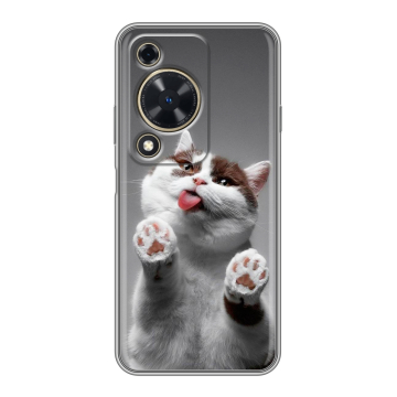 Силиконовый чехол на Huawei Nova Y72 с принтом Коты Силиконовый чехол на Huawei Nova Y72 с принтом Коты