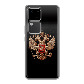 Силиконовый чехол на Vivo V30 5G с принтом Герб России Силиконовый чехол на Vivo V30 5G с принтом Герб России