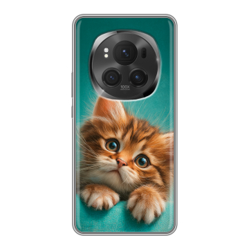 Силиконовый чехол на Honor Magic 6 Pro с принтом котенок Силиконовый чехол на Honor Magic 6 Pro с принтом котенок