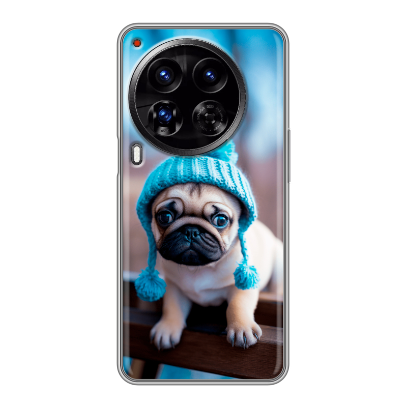 Силиконовый чехол на Tecno Camon 30 Premier 5G с принтом Мопс в шапке Силиконовый чехол на Tecno Camon 30 Premier 5G с принтом Мопс в шапке