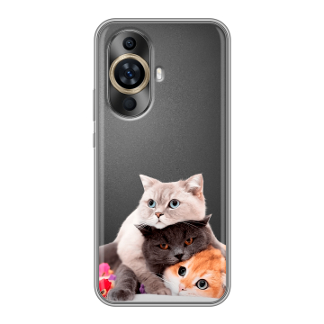 Силиконовый чехол на Huawei Nova 12S с принтом Кошки