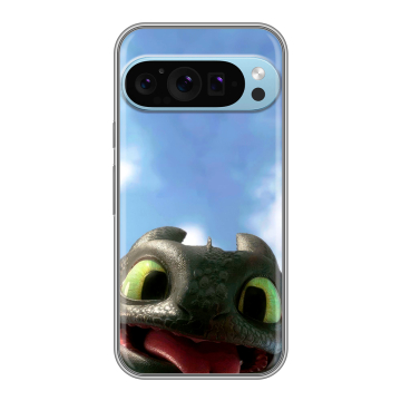 Силиконовый чехол на Google Pixel 9 Pro с принтом Как приручить дракона