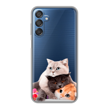 Силиконовый чехол на Samsung Galaxy M15 5G с принтом Кошки Силиконовый чехол на Samsung Galaxy M15 5G с принтом Кошки