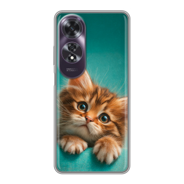 Силиконовый чехол на OPPO A60 с принтом котенок