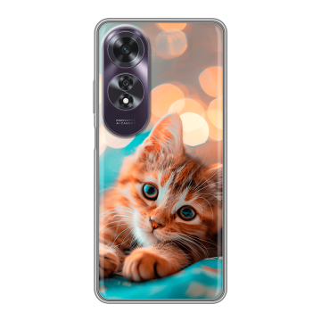 Силиконовый чехол на OPPO A60 с принтом котик Силиконовый чехол на OPPO A60 с принтом котик