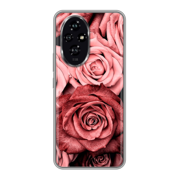 Силиконовый чехол на Honor 200 с принтом Цветы розы Силиконовый чехол на Honor 200 с принтом Цветы розы