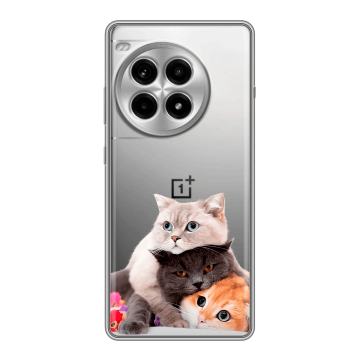 Силиконовый чехол на OnePlus Ace 3 Pro с принтом Кошки Силиконовый чехол на OnePlus Ace 3 Pro с принтом Кошки