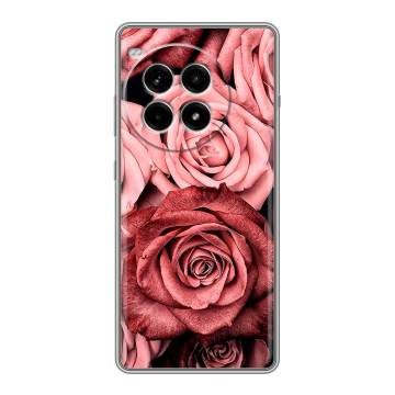 Силиконовый чехол на OnePlus Ace 3 Pro с принтом Цветы розы Силиконовый чехол на OnePlus Ace 3 Pro с принтом Цветы розы
