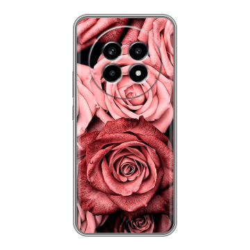 Силиконовый чехол на Realme 13 Pro с принтом Цветы розы Силиконовый чехол на Realme 13 Pro с принтом Цветы розы