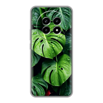Силиконовый чехол на Realme 13 Pro с принтом Листья Силиконовый чехол на Realme 13 Pro с принтом Листья