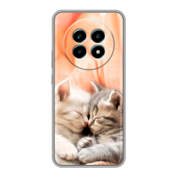 Силиконовый чехол на Realme 13 Pro Plus с принтом Котята Силиконовый чехол на Realme 13 Pro Plus с принтом Котята