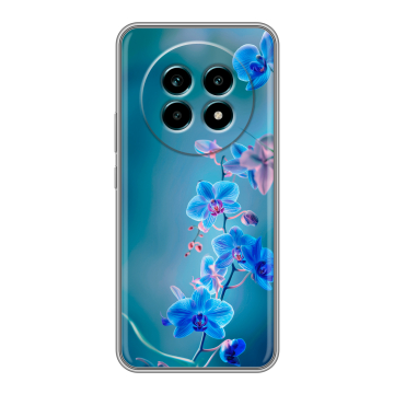 Силиконовый чехол на Realme 13 Pro Plus с принтом Голубые цветы Силиконовый чехол на Realme 13 Pro Plus с принтом Голубые цветы