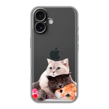 Силиконовый чехол на Iphone 16 с принтом Кошки Силиконовый чехол на Iphone 16 с принтом Кошки