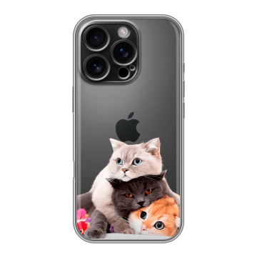 Силиконовый чехол на Iphone 16 Pro с принтом Кошки Силиконовый чехол на Iphone 16 Pro с принтом Кошки