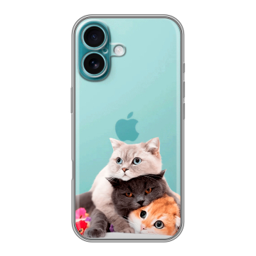 Силиконовый чехол на Iphone 16 Plus с принтом Кошки