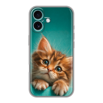 Силиконовый чехол на Iphone 16 Plus с принтом котенок Силиконовый чехол на Iphone 16 Plus с принтом котенок