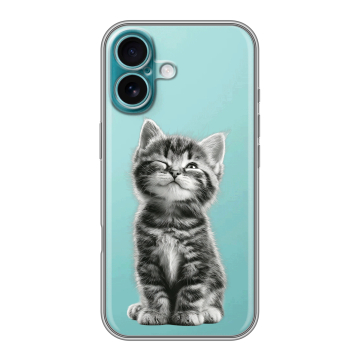 Силиконовый чехол на Iphone 16 Plus с принтом Котенок Силиконовый чехол на Iphone 16 Plus с принтом Котенок