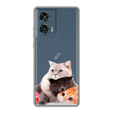 Силиконовый чехол на Motorola Edge 50 Fusion с принтом Кошки Силиконовый чехол на Motorola Edge 50 Fusion с принтом Кошки